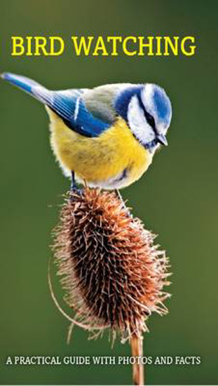 Picture of Birdwatching Boxset: Backyard Birds