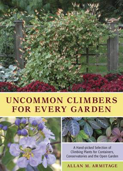 Picture of Uncommon Climbers for Every Garden