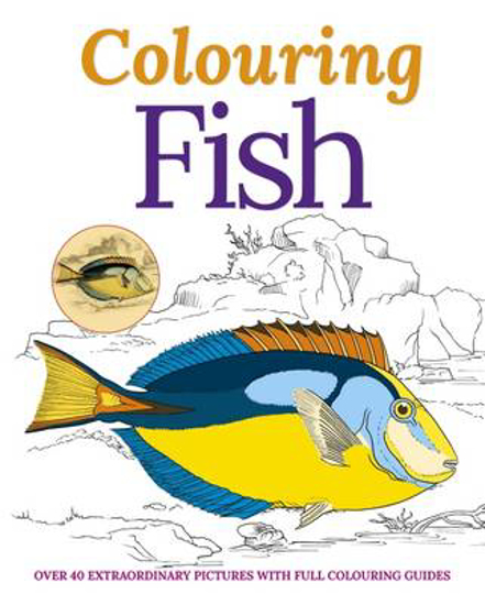 Picture of The Calm Colouring Book