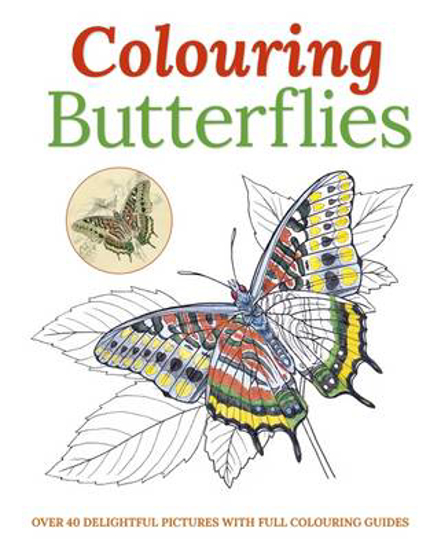 Picture of Colouring Butterflies