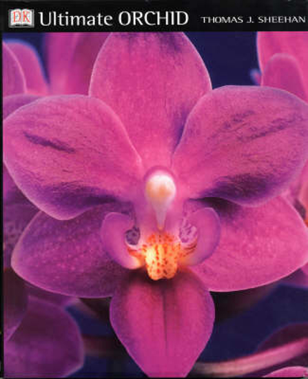 Picture of Ultimate Orchid