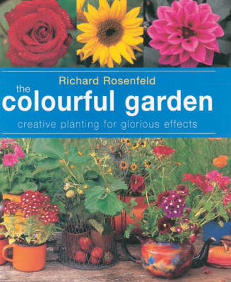Picture of The Colourful Garden