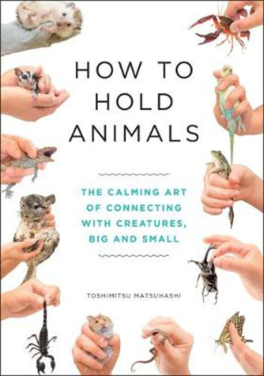 Picture of How to Hold Animals