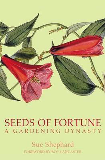 Picture of Seeds Of Fortune