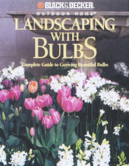 Picture of Landscaping with Bulbs