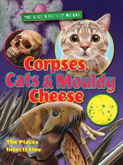 Picture of Corpses, Cats and Mouldy Cheese: 2018