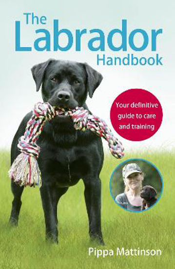 Picture of The Labrador Handbook: The definitive guide to training and caring for your Labrador