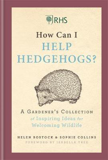 Picture of RHS How Can I Help Hedgehogs?