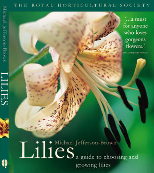 Picture of RHS Lilies