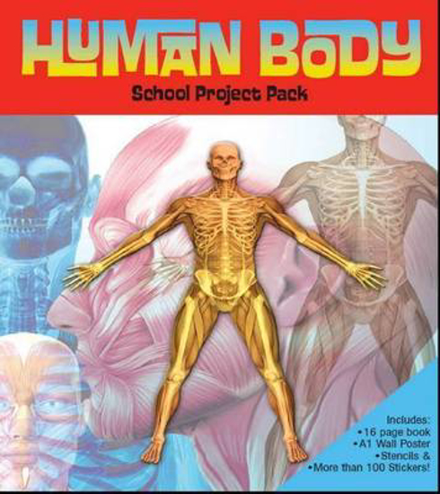 Picture of School Project Pack: Human Body