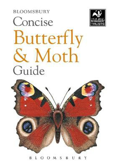 Picture of Concise Butterfly and Moth Guide
