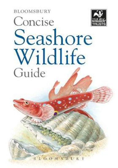 Picture of Concise Seashore Wildlife Guide