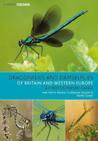 Picture of Dragonflies and Damselflies of Britain and Western Europe: A Photographic Guide