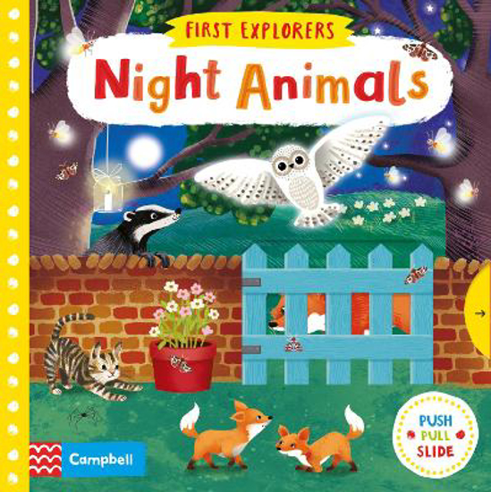 Picture of Night Animals