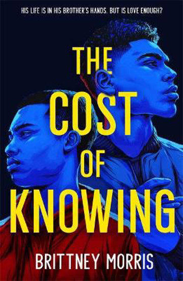 Picture of The Cost of Knowing