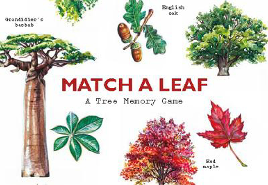 Picture of Match a Leaf: A Tree Memory Game