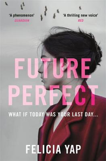 Picture of Future Perfect: The Most Exciting High-Concept Novel of the Year