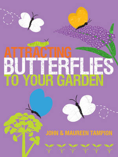 Picture of Attracting Butterflies To Your Garden