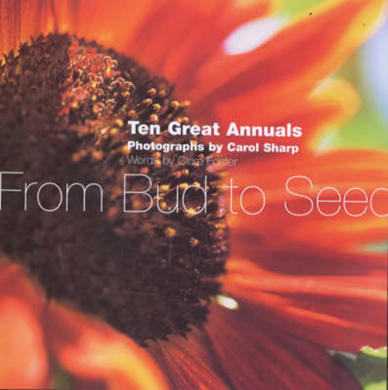 Picture of From Bud to Seed: Ten Great Annuals