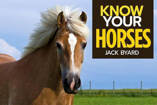 Picture of Know Your Horses