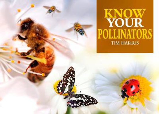 Picture of Know Your Pollinators