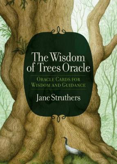 Picture of The Wisdom Of Trees Oracle