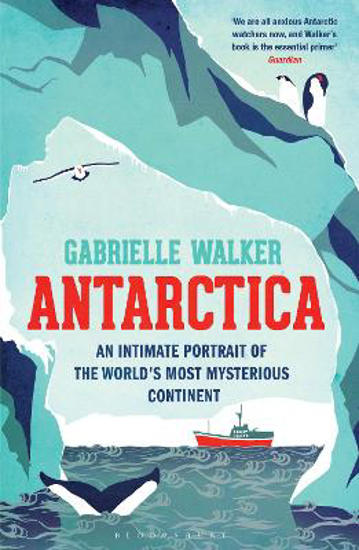 Picture of Antarctica: An Intimate Portrait of the World's Most Mysterious Continent
