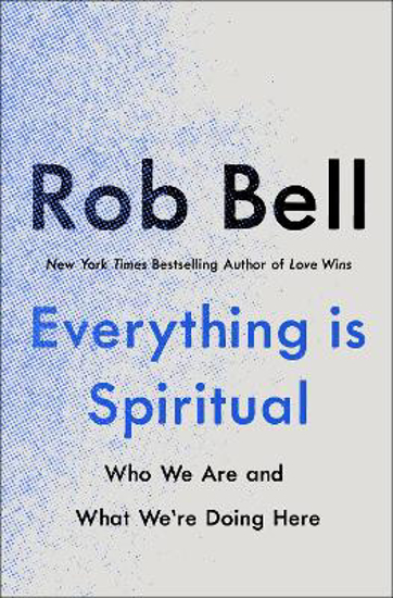 Picture of Everything is Spiritual: A Brief Guide to Who We Are and What We're Doing Here