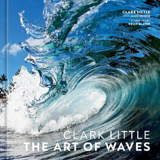 Picture of Clark Little: The Art of Waves