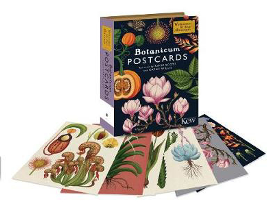 Picture of Welcome to the Museum: Botanicum Postcards