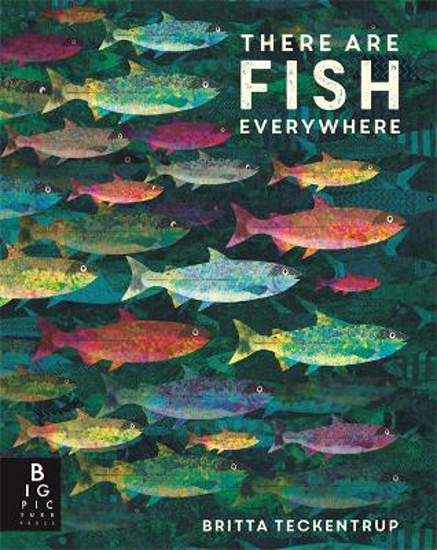 Picture of There are Fish Everywhere