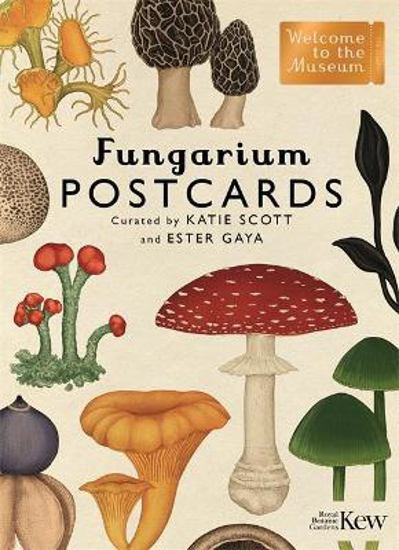 Picture of Fungarium Postcards