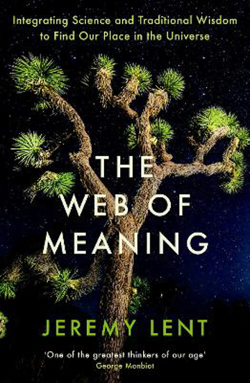 Picture of The Web of Meaning: Integrating Science and Traditional Wisdom to Find Our Place in the Universe