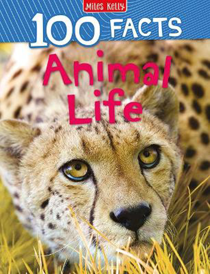 Picture of 100 Facts Animal Life