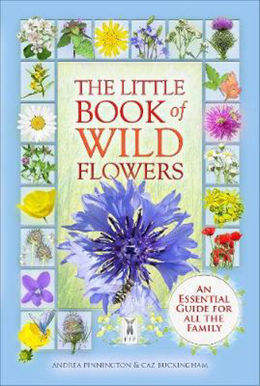 Picture of The Little Book of Wild Flowers
