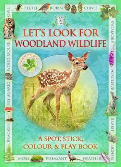 Picture of Let's Look for Woodland Wildlife