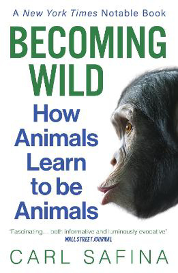 Picture of Becoming Wild: How Animals Learn to be Animals