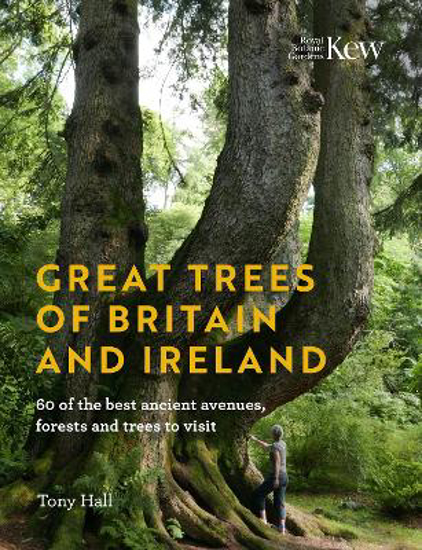 Picture of Great Trees of Britain and Ireland