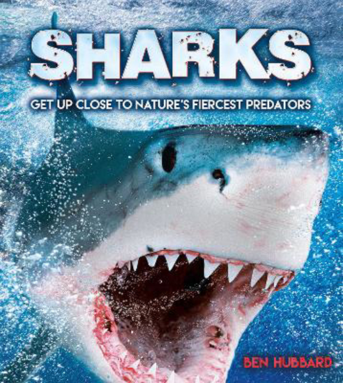 Picture of Sharks: Get Up Close to Nature's Fiercest Predators