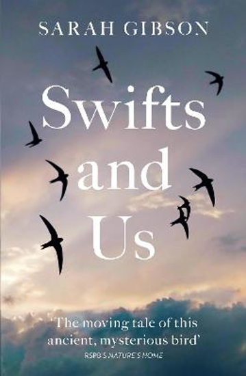 Picture of Swifts and Us: The Life of the Bird that Sleeps in the Sky
