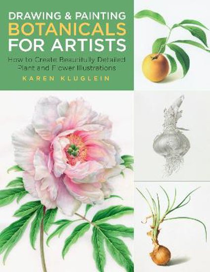 Picture of Drawing and Painting Botanicals for Artists: How to Create Beautifully Detailed Plant and Flower Illustrations: Volume 4