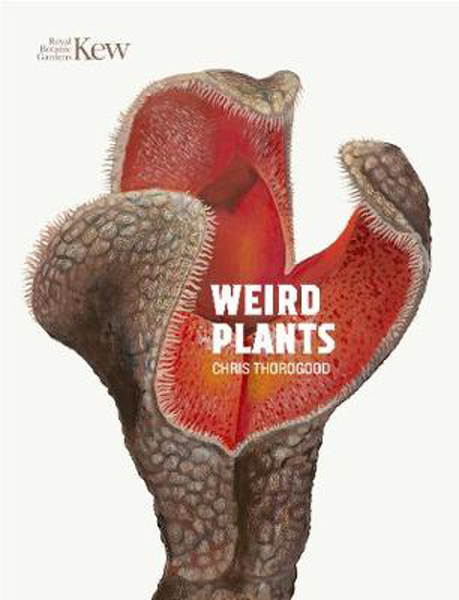 Picture of Weird Plants
