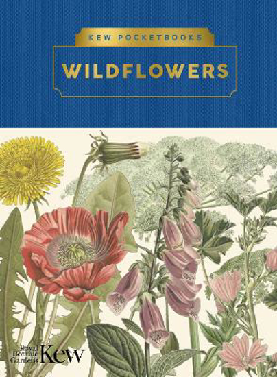 Picture of Kew Pocketbooks: Wildflowers