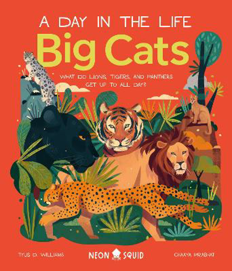 Picture of Big Cats: A Day in the Life