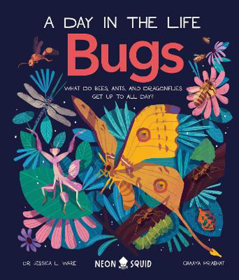 Picture of Bugs (A Day in the Life): What Do Bees, Ants, and Dragonflies Get up to All Day?