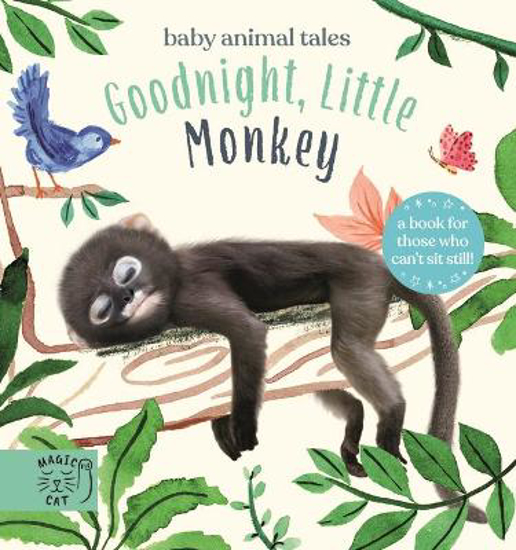 Picture of Goodnight, Little Monkey
