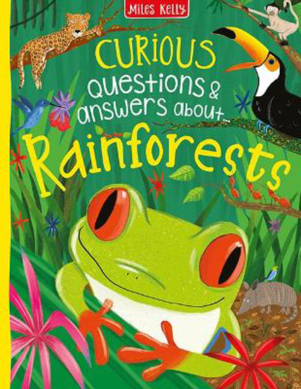 Picture of Curious Questions & Answers about Rainforests