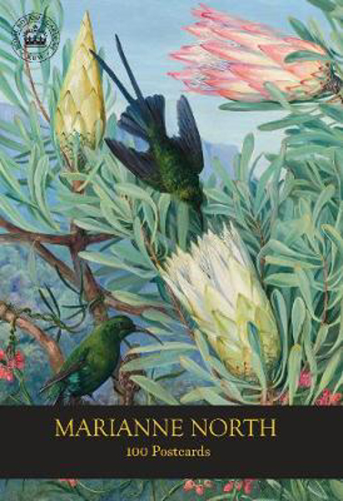 Picture of Rgb Kew: Marianne North - 100 Postcards Pack