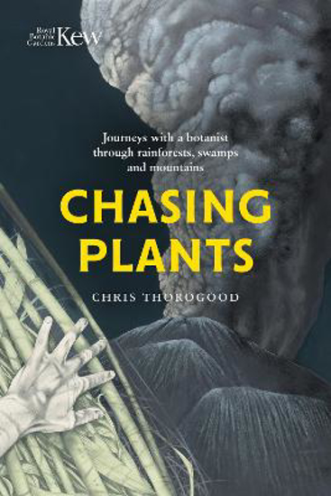 Picture of Chasing Plants