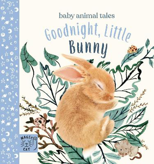 Picture of Goodnight, Little Bunny: A book about being brave